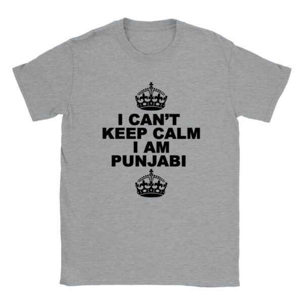 Funny Punjabi t-shirt gift idea for South Asian friends, shown folded on a clean background